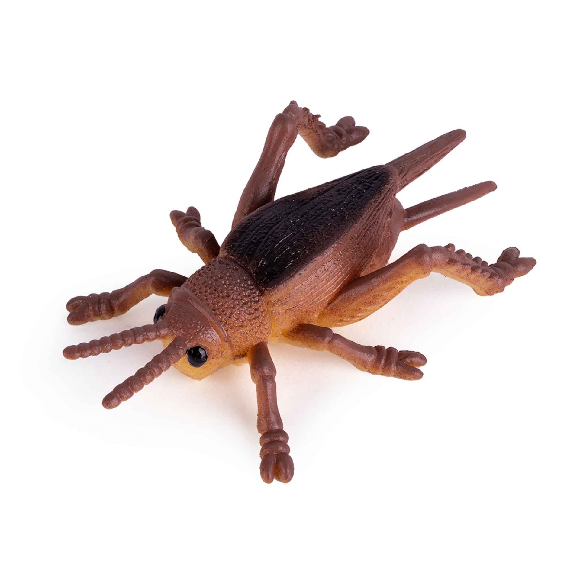 Inseto artificial de plástico castanho escuro e claro sobre fundo branco