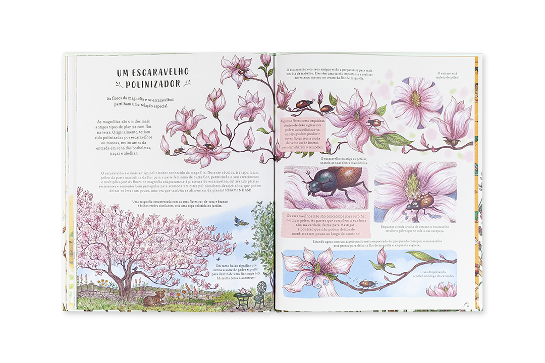 Livro aberto com ilustrações de flores rosas e escaravelho preto