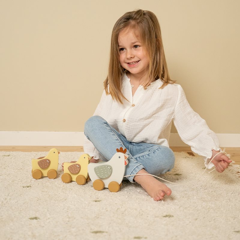 Criança sentada no chão a brincar com brinquedo de madeira de galinha e patinhos