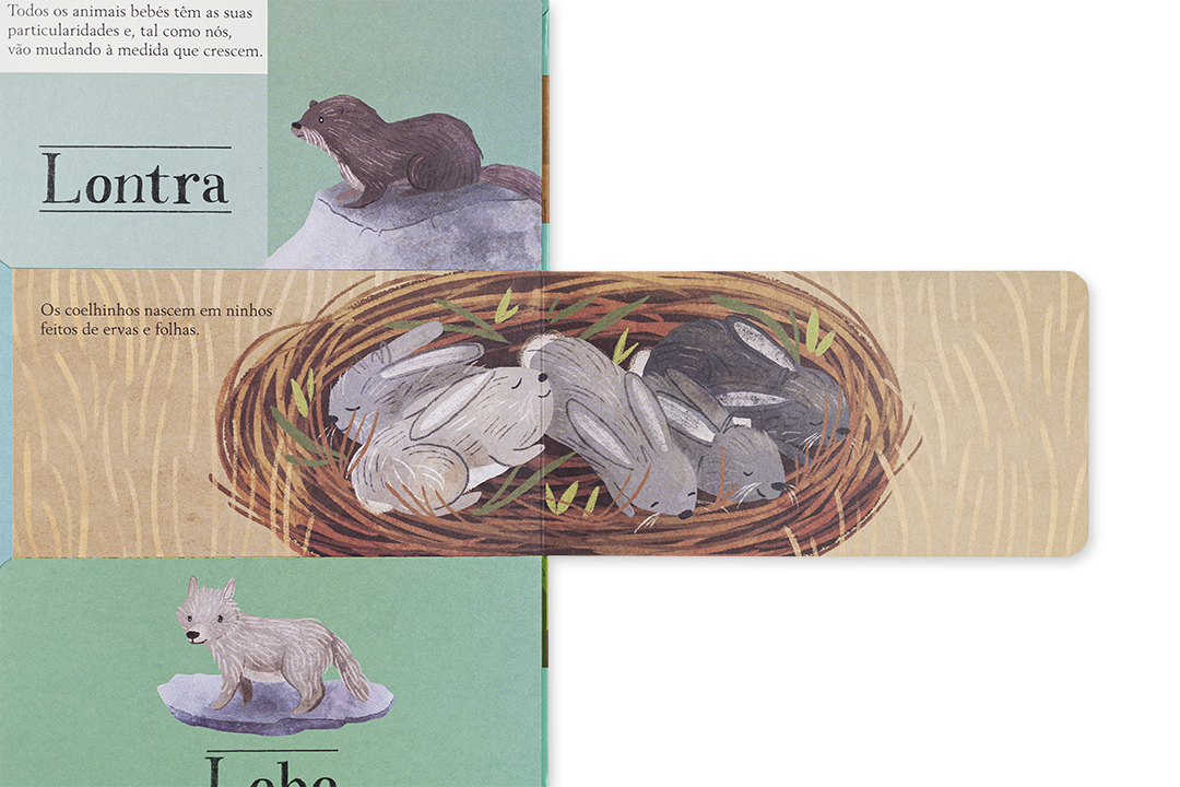 Ilustração de lontra, ninho com coelhinhos e lobo com texto em português