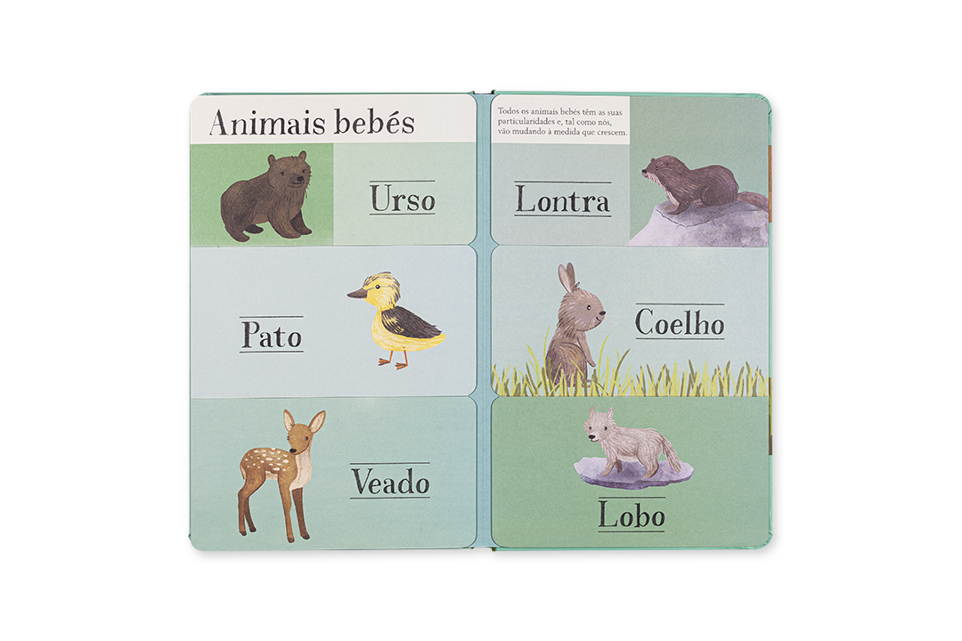 Livro infantil com ilustrações de animais bebés e seus nomes em português