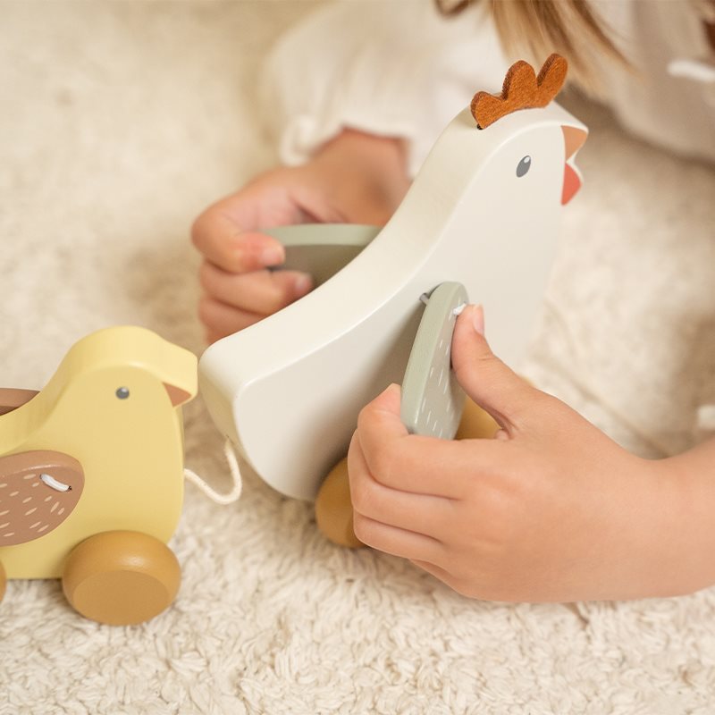 Brinquedos de madeira galinha e pintainho sobre carpete branco segurados por criança