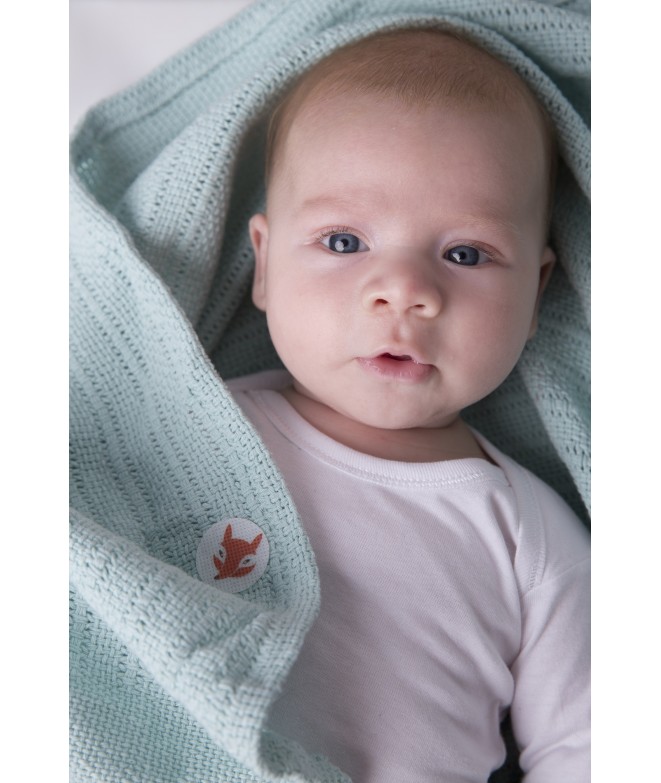 Bebé coberto com manta azul clara e body branco lendo botão com raposa