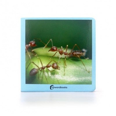 Livro infantil com capa azul e fotografia de formigas numa folha verde