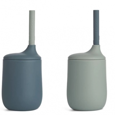 Duas escovas de sanita com bases azuis e cinzas