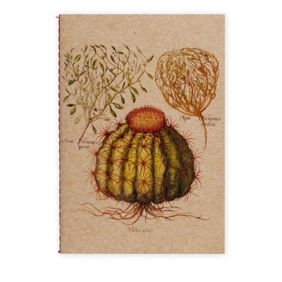 Caderno com ilustração botânica de cacto e plantas naturais em papel bege texturizado