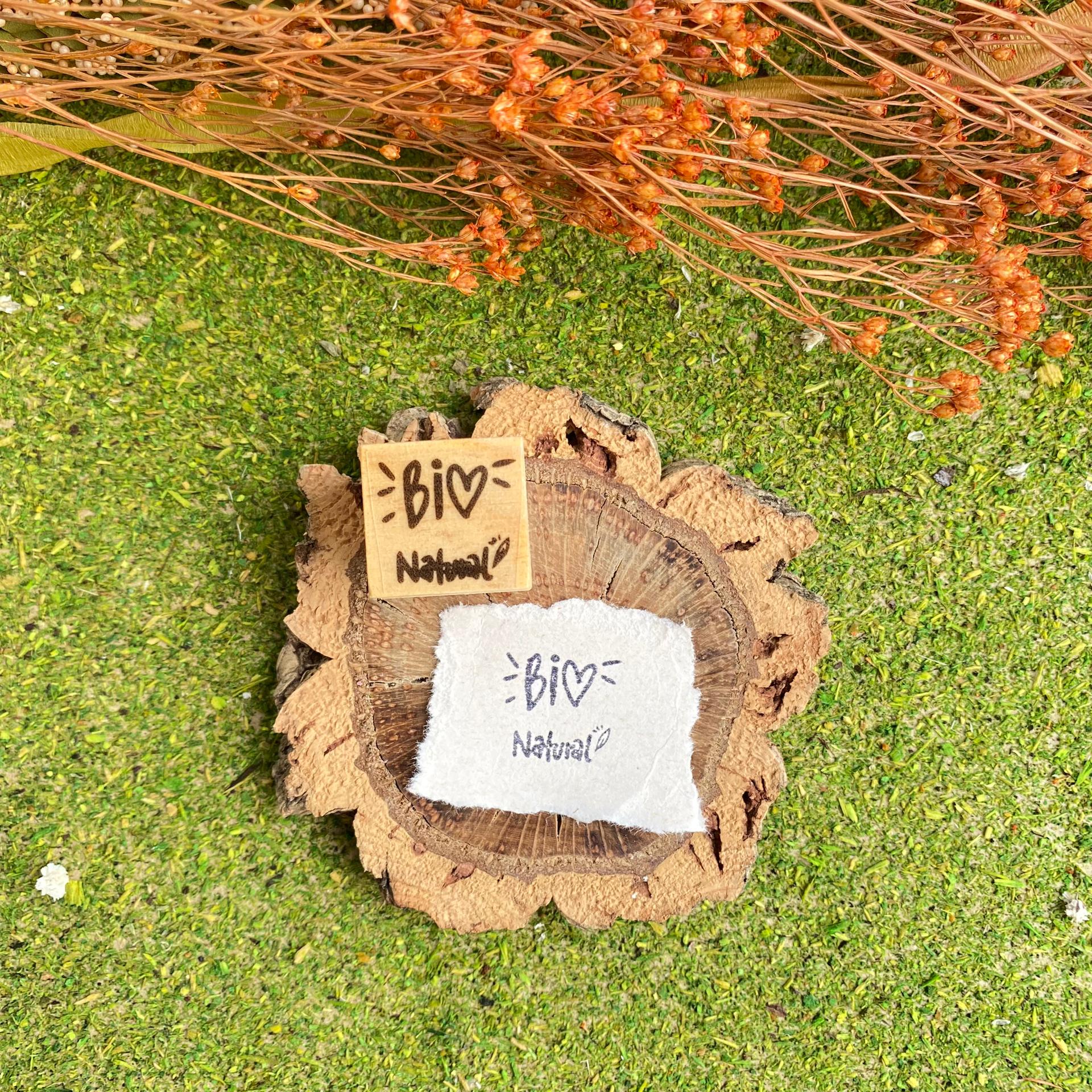 Dois cartões com a palavra BIO Natural sobre pedaço de madeira e grama artificial