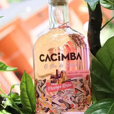 https://www.unboxportugal.com/product/cacimba-gin-pessego-rosa-2