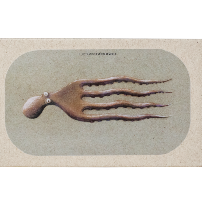 Embalagem bege com ilustração de polvo de madeira e texto ILUSTRAÇÃO NUNO R. NUNES
