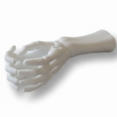 Mão esqueleto branca em material plástico