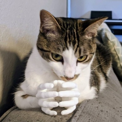 Gato branco com manchas castanhas segurando mãos esqueléticas brancas num sofá cinzento