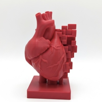 Modelo 3D vermelho de coração humano em plástico com base quadrada
