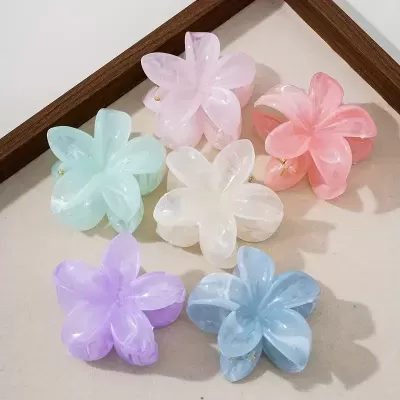 Seis presilhas florais coloridas em plástico translúcido sobre superfície clara com moldura de madeira