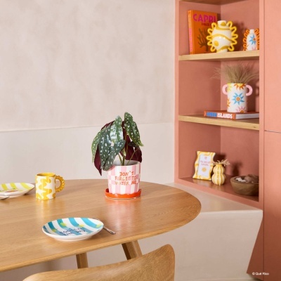 Mesa de madeira com prato, caneca e vaso com planta, estante rosa com livros e vasos decorativos