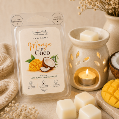 Cera de soja em cubos para aromatizador, embalagem e aromatizador cerâmico com vela acesa
