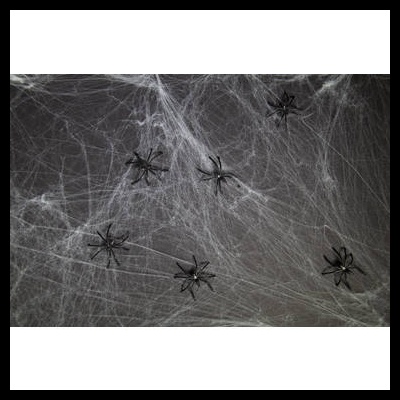 Teia de aranha artificial branca com aranhas negras