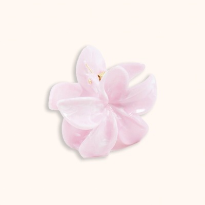 Broche flor cor-de-rosa brilhante sobre fundo creme