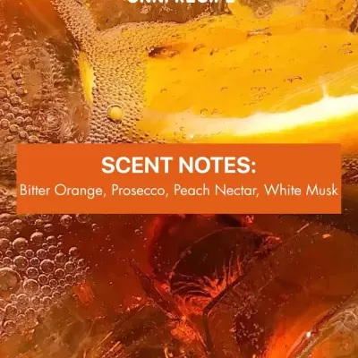 Líquido efervescente com géla de laranja e gelo com texto de notas de perfume