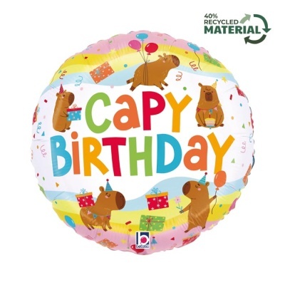 Balão redondo colorido com tema de aniversário com capivaras e mensagens