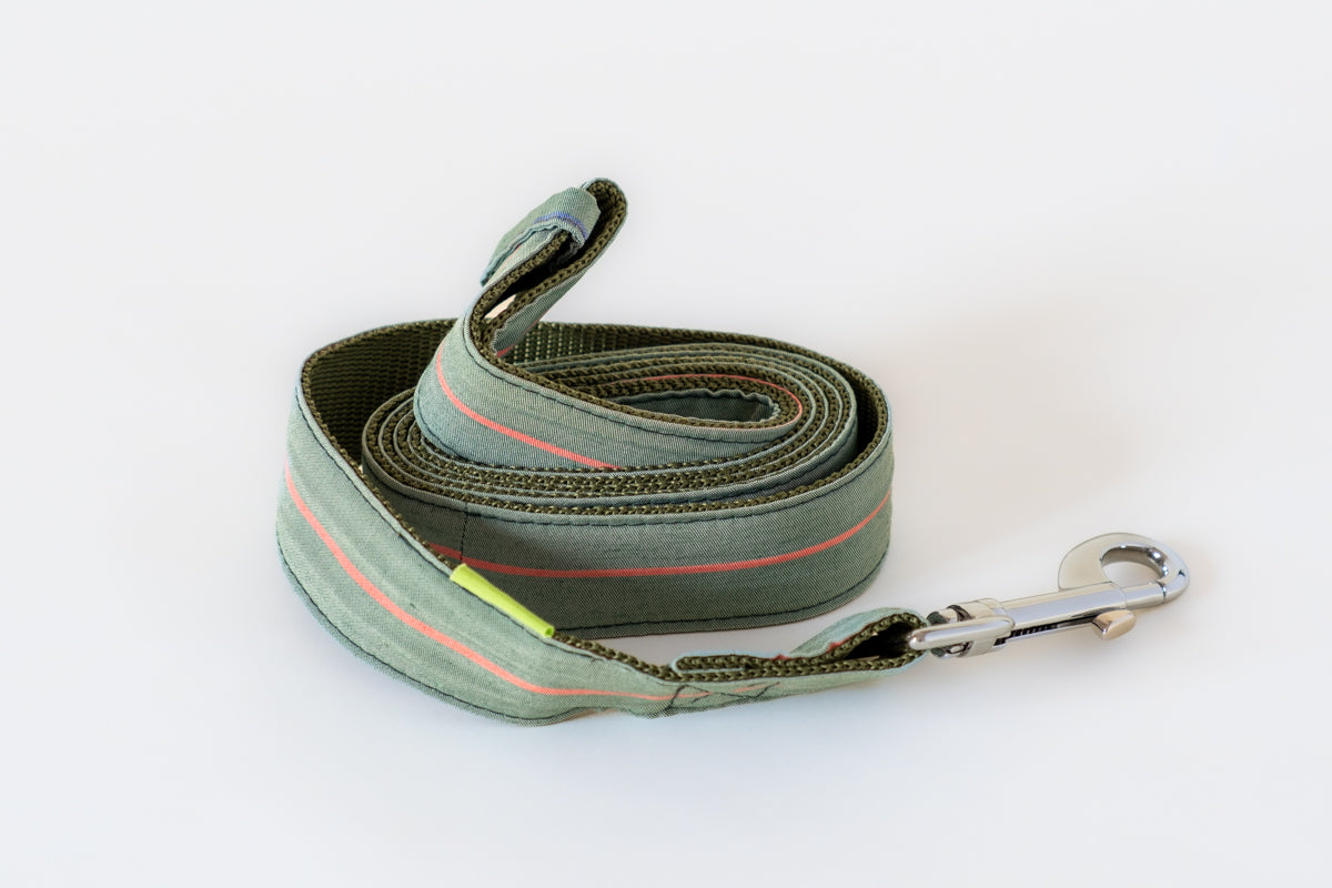 Trela PET Trela de cão verde com gancho metálico