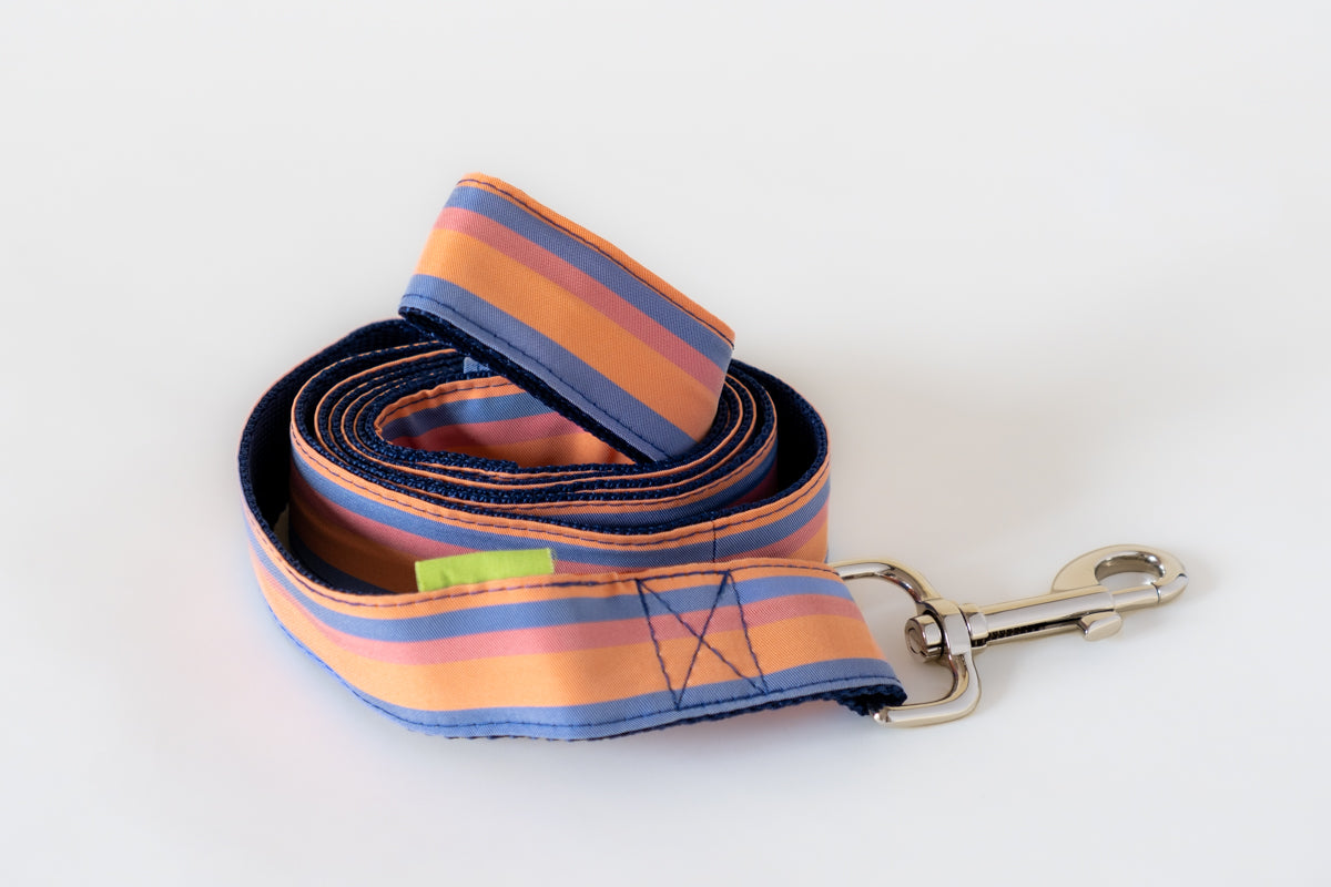 Trela PET Trela para cão laranja e azul com mosquetão metálico.