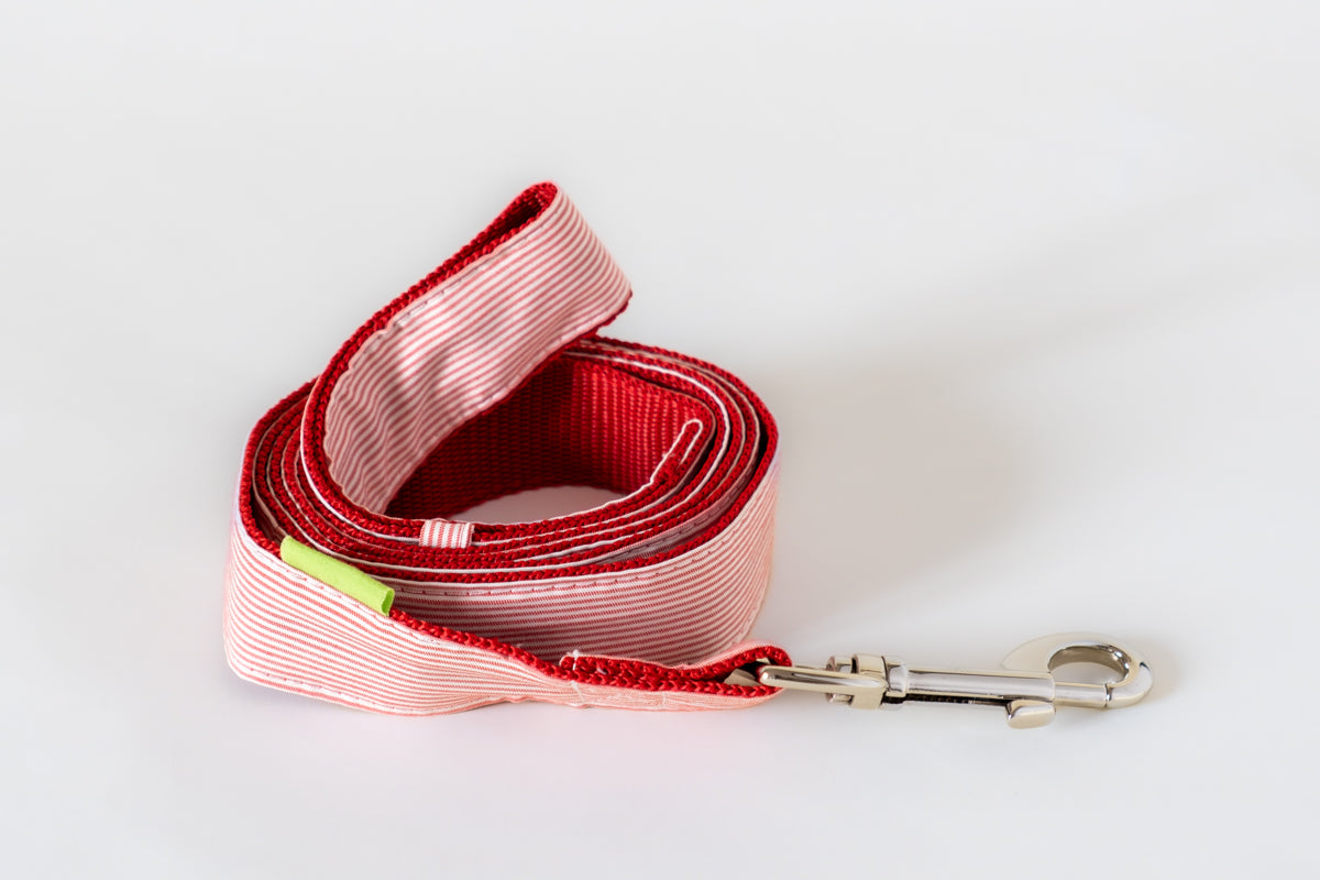 Trela PET Trela vermelha para animais com mola metálica