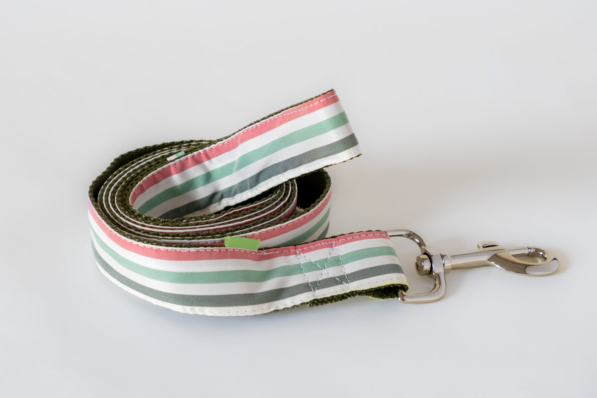 Trela PET Trela para cão com padrão às riscas coloridas e metal prateado