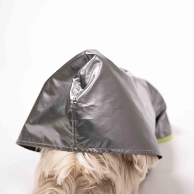 Cão com capuz impermeável cinza escuro sobre fundo branco