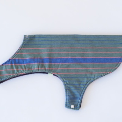 Capa para cão com riscas verdes, azuis e vermelhas e botões brancos