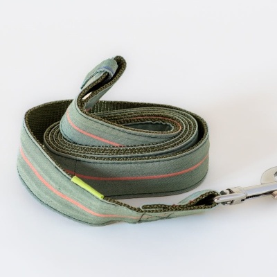 Trela de cão verde com gancho metálico