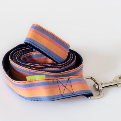 Trela para cão laranja e azul com mosquetão metálico.