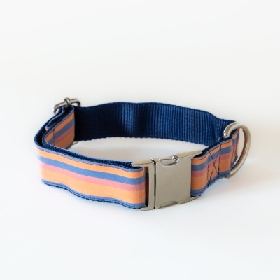 Coleira para cão azul escuro com riscas laranja e azul claro