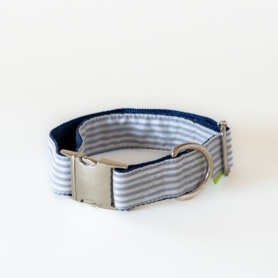 Coleira para animal com riscas azuis e brancas e fecho metálico