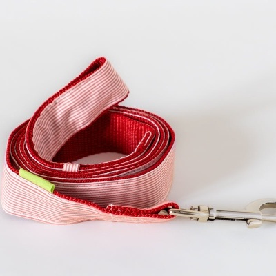 Trela vermelha para animais com mola metálica