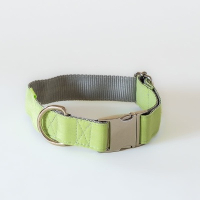 Coleira para cão amarela fluorescente com fivela cinza e argola metálica