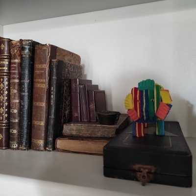 Livros antigos de capa de couro e figura de tecido colorida numa estante branca