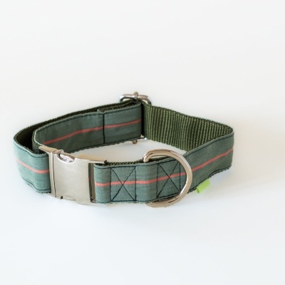 Coleira para cão verde com fecho metálico