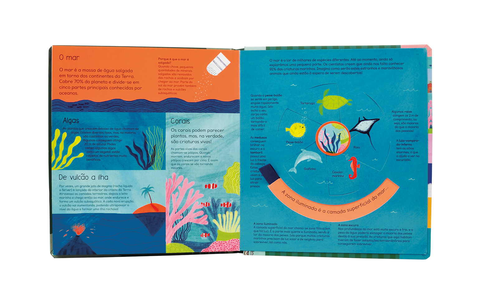 Livro ilustrado aberto mostrando informações e ilustrações sobre o mar e vida marinha.