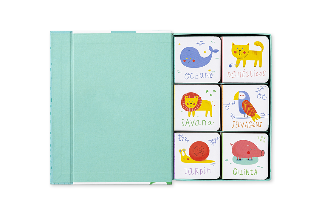 Seis blocos ilustrados com animais e palavras em português ao lado de caixa azul-turquesa aberta
