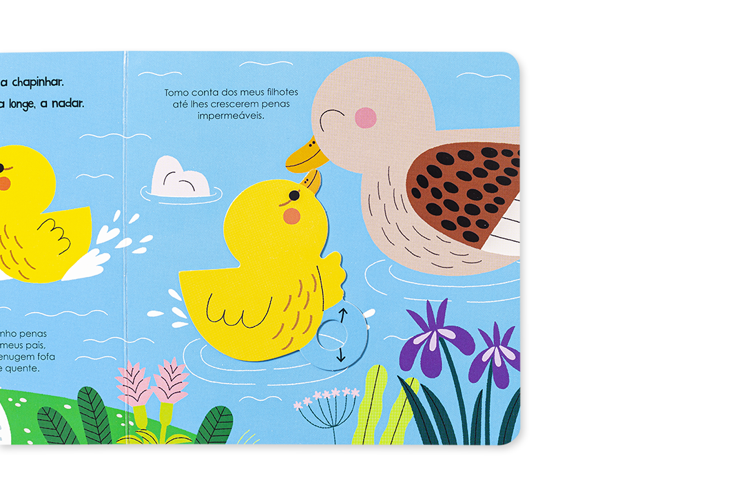 Ilustração infantil de patos amarelo e castanho com plantas e texto em português