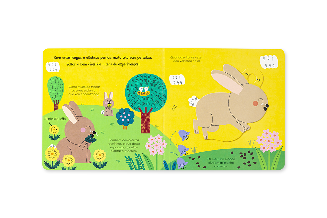 Livro infantil aberto com ilustrações de coelhos, flores e árvores em fundo amarelo e verde