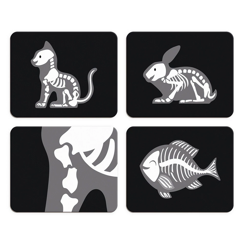 Placas com imagens de esqueletos de gato, coelho, peixe e detalhe ósseo em fundo preto.