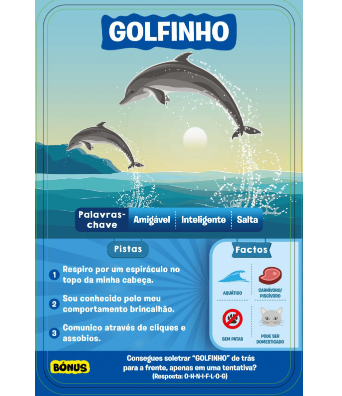 Cartão informativo com ilustração de golfinhos a saltar no mar e texto descritivo em português.
