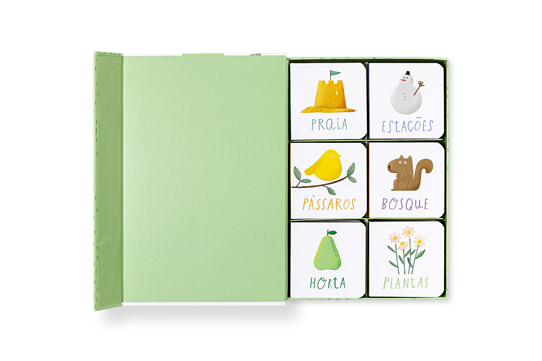 Livro verde aberto e seis cubos brancos com desenhos e texto em português
