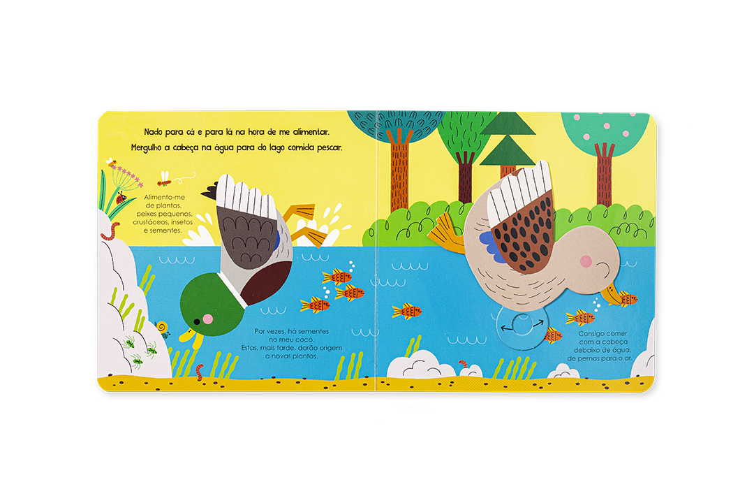 Livro infantil ilustrado com patos nadando num lago azul rodeado por árvores e peixes.