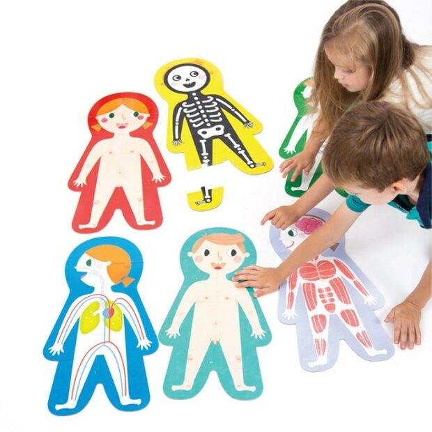 Jogo educativo com figuras humanas coloridas mostrando sistemas do corpo e crianças a brincar.