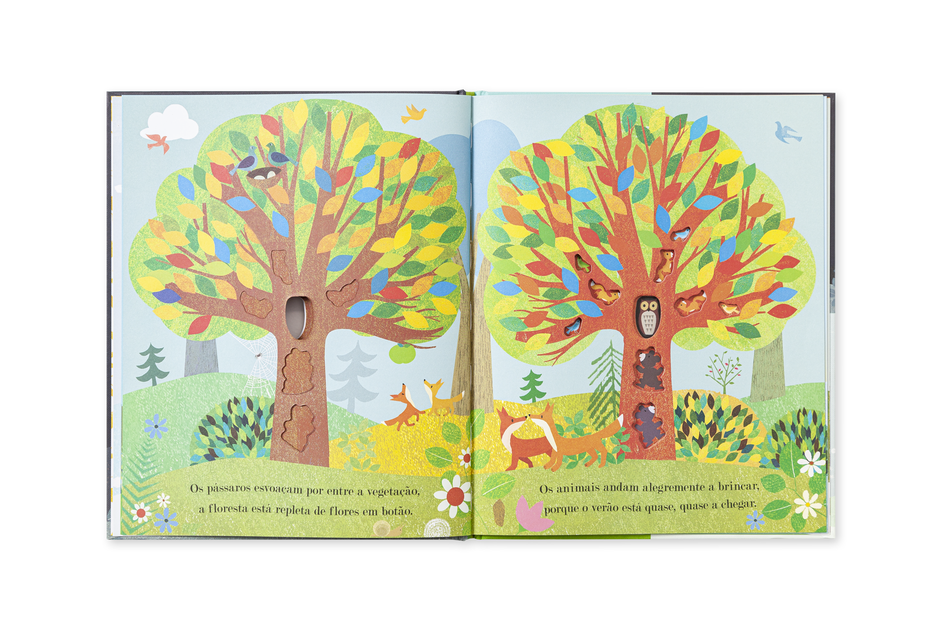 Livro infantil aberto mostrando ilustrações coloridas de árvores, animais e texto em português.