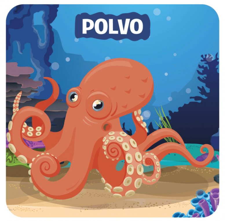 Ilustração de um polvo laranja subaquático com a palavra POLVO