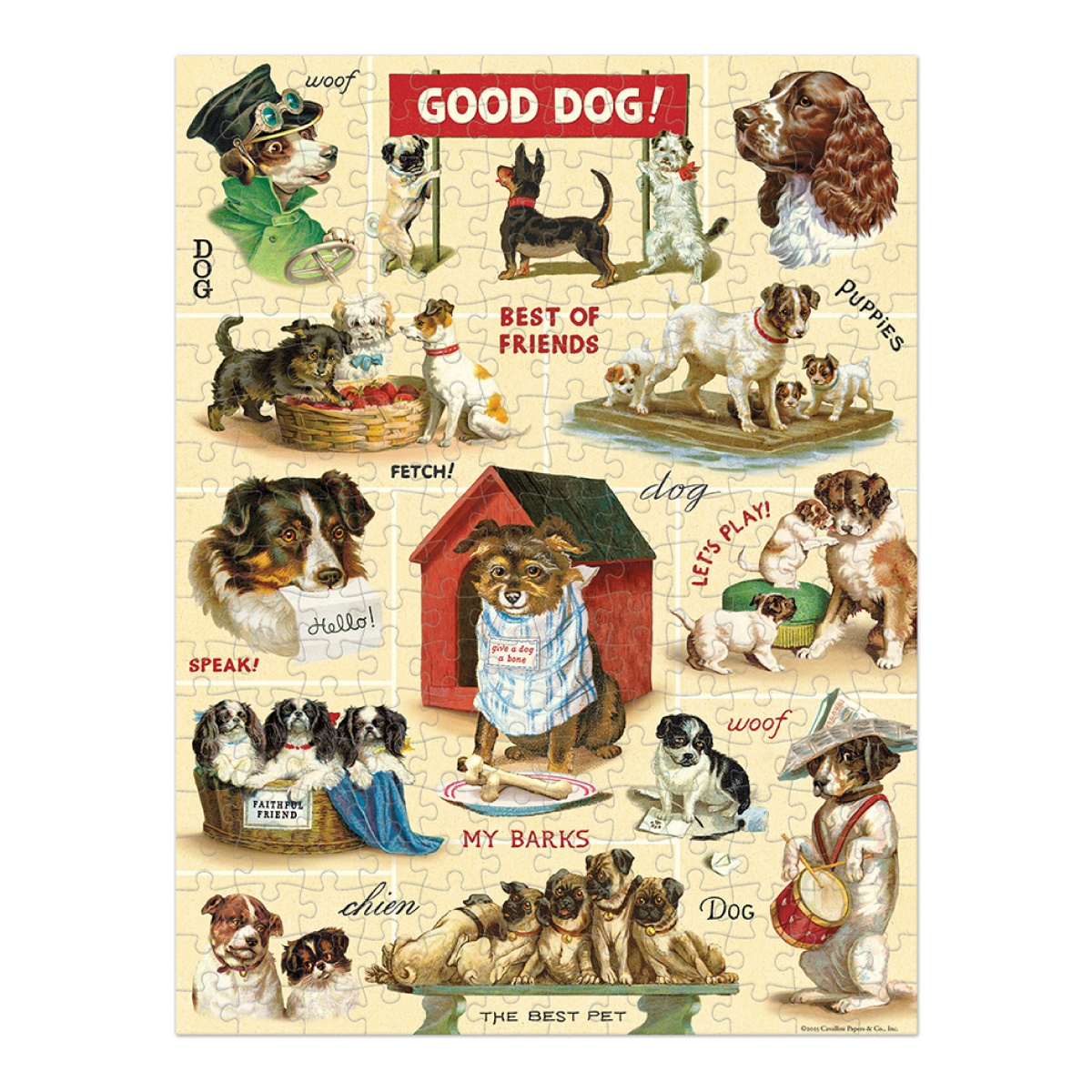 Puzzle com ilustrações coloridas de cães e texto em inglês relacionado a cães.