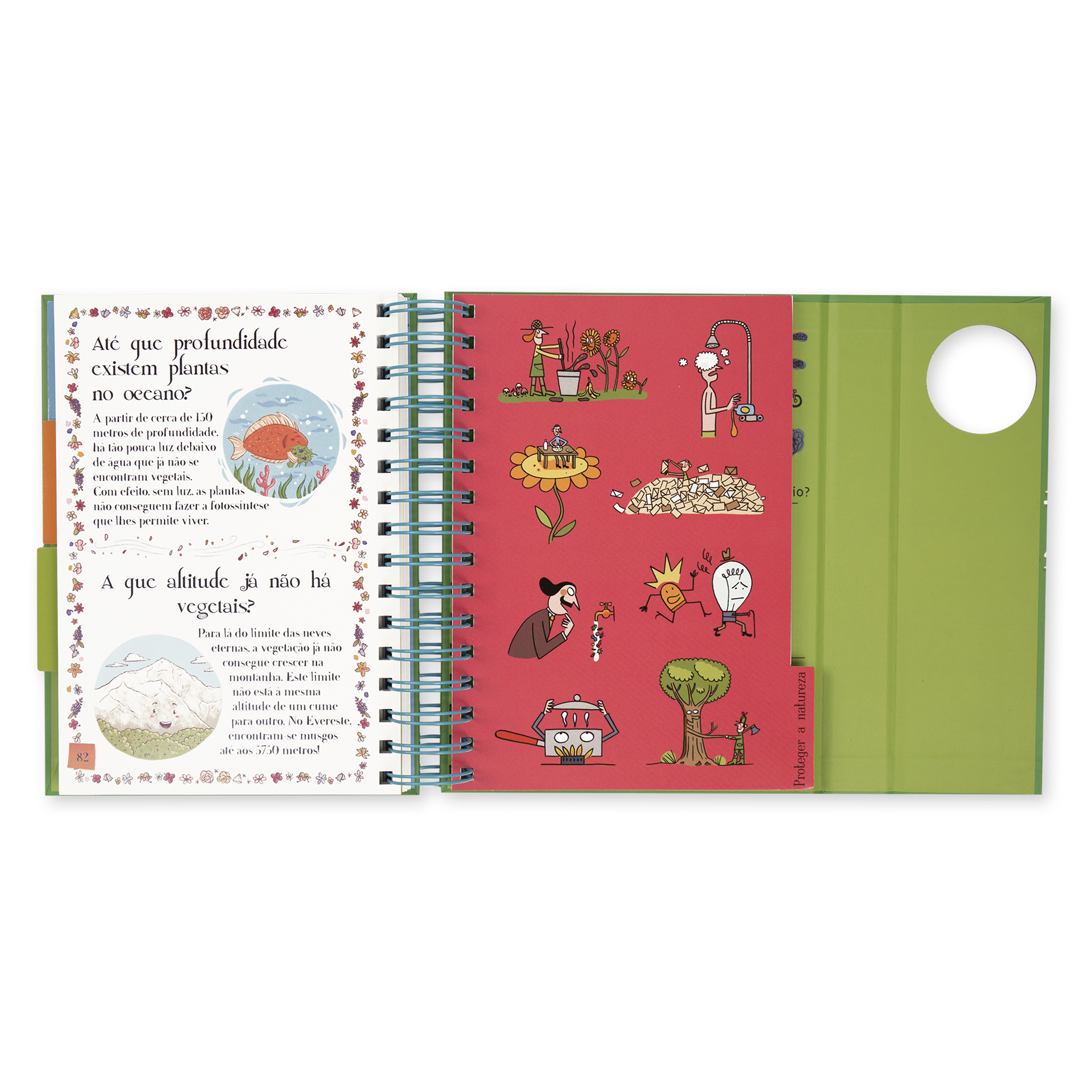 Livro infantil colorido aberto com texto e ilustrações, páginas espirais e fundo verde